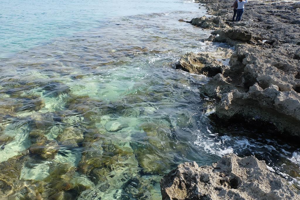 Oasi San Pio Daire Porto Cesareo Dış mekan fotoğraf