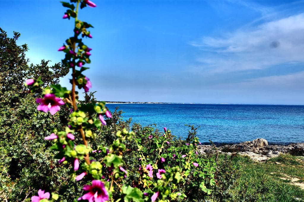 Oasi San Pio Daire Porto Cesareo Dış mekan fotoğraf