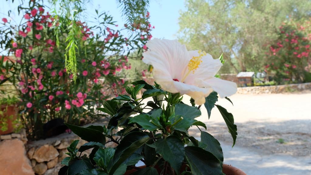 Oasi San Pio Daire Porto Cesareo Dış mekan fotoğraf