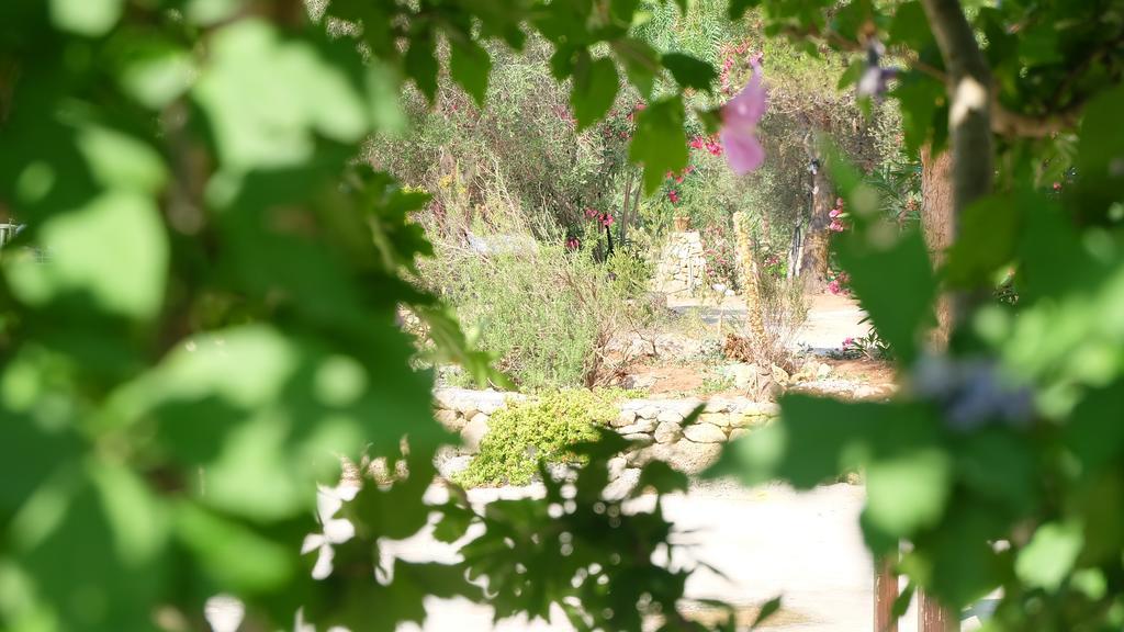 Oasi San Pio Daire Porto Cesareo Dış mekan fotoğraf