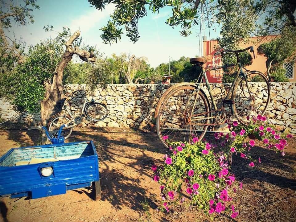 Oasi San Pio Daire Porto Cesareo Dış mekan fotoğraf