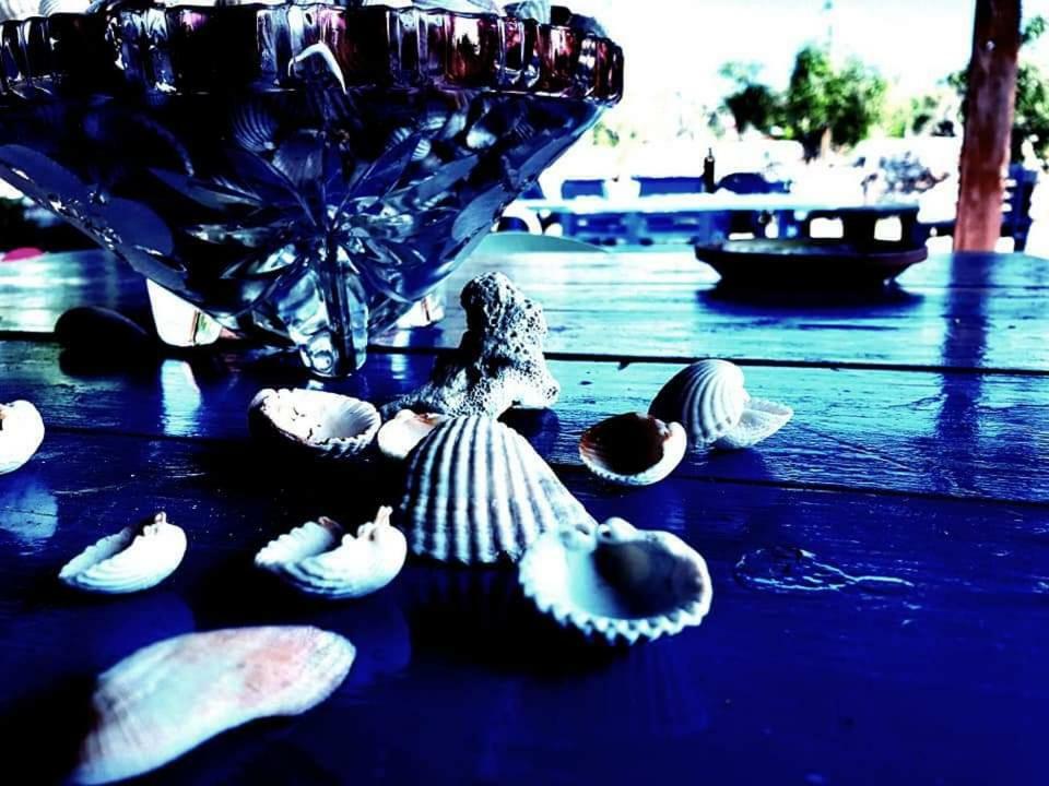Oasi San Pio Daire Porto Cesareo Dış mekan fotoğraf